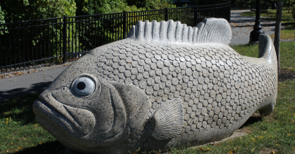fish website